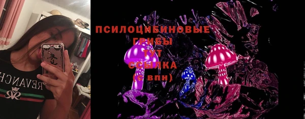тгк Абаза