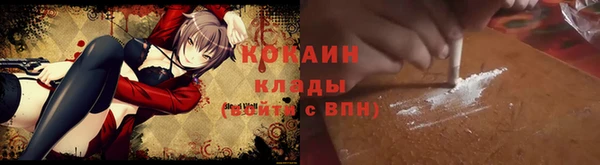 сатива Аркадак