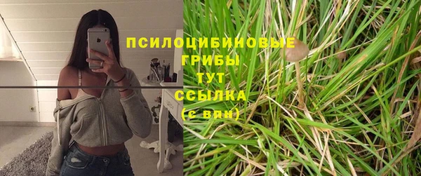 тгк Абаза