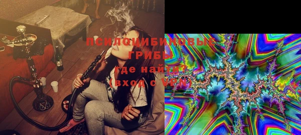 прущие грибы Нефтекумск