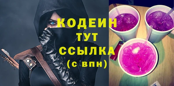 тгк Абаза