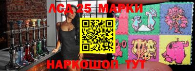 сатива Краснодар