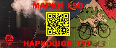 сатива Краснодар