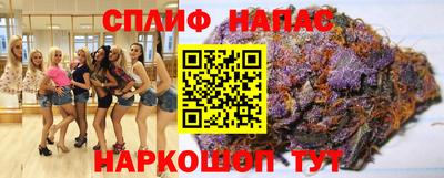 сатива Краснодар