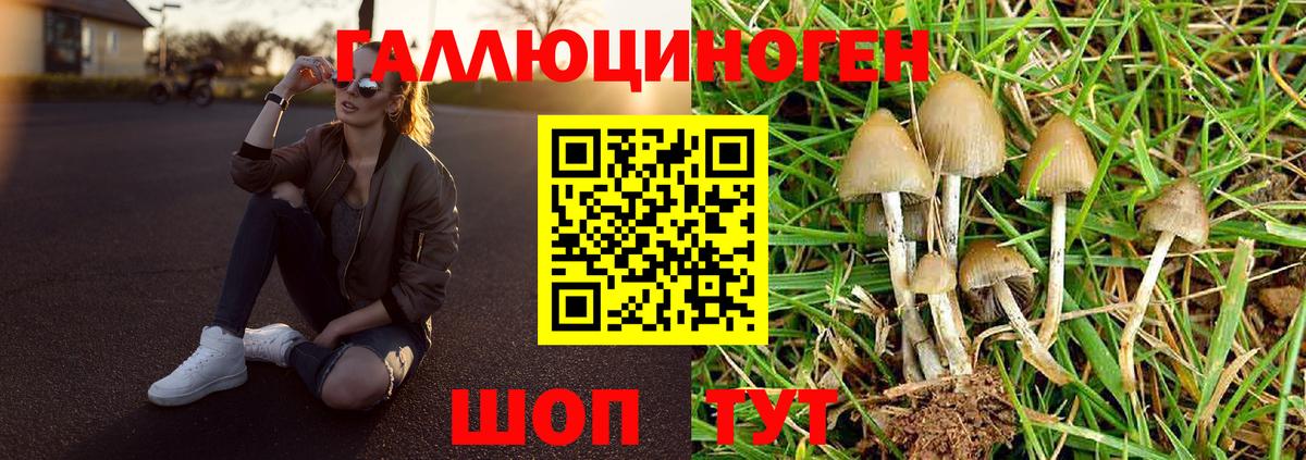 Галлюциногенные грибы мухоморы Одинцово